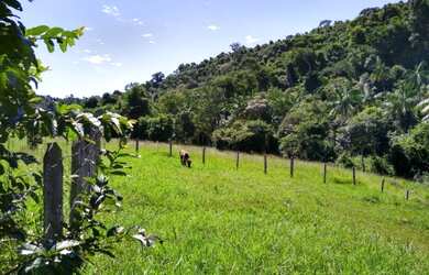Imagem 10: Linda Chácara no Sul de MG