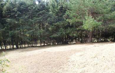 Imagem 5: Terreno à venda, 825 m² por R$ 380.000,00 - Jardim Embaixador - Campos do Jordão/SP