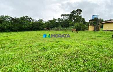 Imagem: A fazenda possui 30.000m² de Área e está localizado em Brumadinho