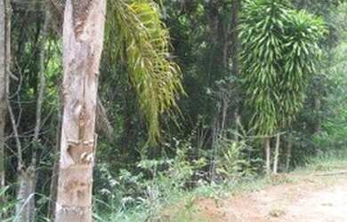 Imagem 5: Terreno à venda, 40000 m² por R$ 250.000,00 - Jardim Verona - Ribeirão...