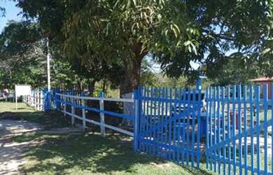 Imagem 3: VENDE-SE UMA CHÁCARA NO TEPEQUEM