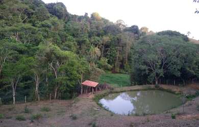 Imagem 7: Linda Chácara no Sul de MG