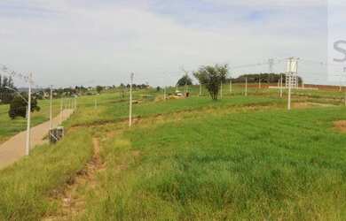 Imagem 13: Terreno à venda, 275 m² por R$ 94.200,00 - Arroio da Manteiga - São...