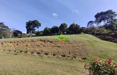 Imagem 10: Terreno à venda, 5.040 m² por R$ 450.000 - Simão Pereira - Simão Pereira/MG