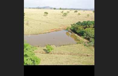 Imagem: A fazenda está localizado em Jardim Nova Esperança, Goiânia