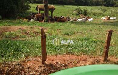 Imagem 6: Fazenda à venda, 39 alqueires por R$ 5.000.000 - Rural - Machado/MG