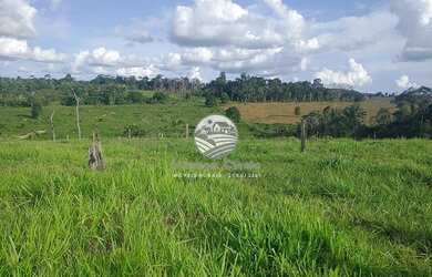 Imagem: Machadinho D x27 Oeste - Sítio - 12.5 Alqueires
