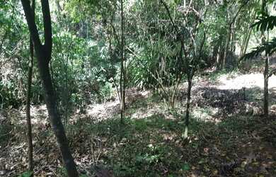 Imagem 7: Terreno - Atibaia. 1m² de Área