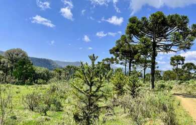 Imagem 2: Chácara em Urubici. 