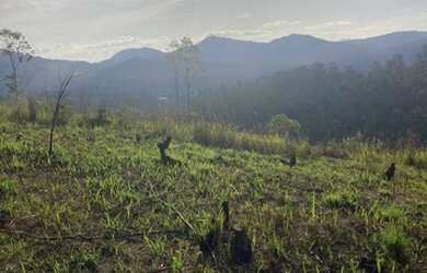 Imagem: O terreno possui 999m² de Área e está localizado em Centro