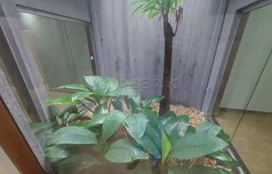 Imagem 8: Ribeirao Preto - Casa Padrão - Alto da Boa Vista