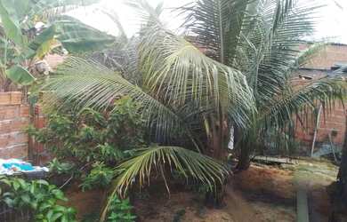 Imagem 6: Casa com terreno. 82m² de Áreae2 Vagas na garagem