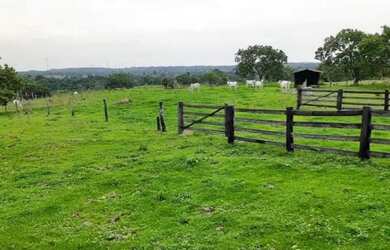 Imagem 7: .. Uma Excelente Fazenda 59 alqueires 42 km do município de Porto Nacional TO