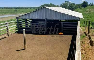 Imagem 12: fazenda - Centro - Montes Claros