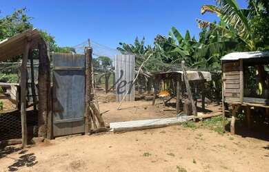 Imagem 9: fazenda - Centro - Montes Claros