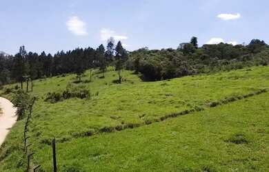 Imagem 14: Terreno perto da Rodovia Castelo Branco