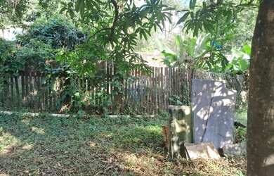 Imagem 13: terreno nivelado. 40m² de Área