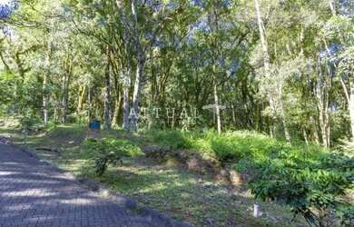 Imagem 3: TERRENO EM CONDOMÍNIO COM INFRAESTRUTURA