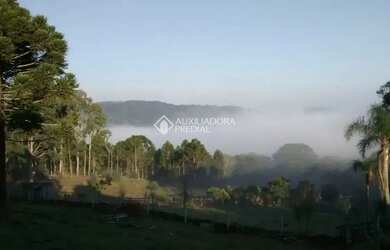 Imagem 3: Lindo sítio à venda em Canela, na encantadora Serra Gaúcha