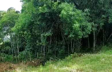 Imagem 10: Área de terra bairro Linha Imperial, Nova Petrópolis. RS Ref. 154