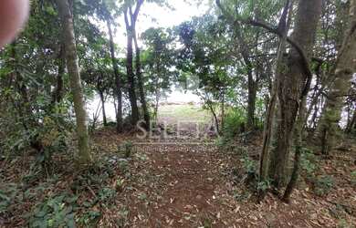 Imagem 4: Chácara no alagado em Boa Vista da Aparecida proximo a Usina de Salto Caxias