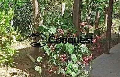 Imagem 15: Vendo Fazenda de 36 hectares com muita agua na Cidade de Moeda