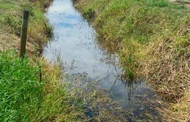 Imagem 13: Venda Ou Permuta Fazenda 112 Alqueires ( 272 Hectares ) Na Região de Araraquara -SP
