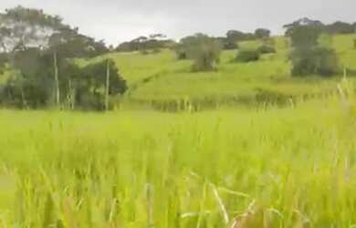 Imagem: A fazenda está localizado em Lamarão, BA à venda por R$1.980.000