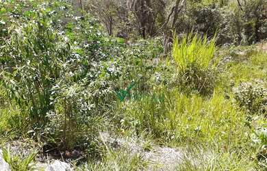 Imagem 7: Terreno à venda, 258 m² por R$ 150.000,00 - Liberdade - Santa Luzia/MG