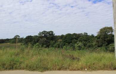Imagem 7: FAZENDA RIO GRANDE - Terreno Padrão - Estados