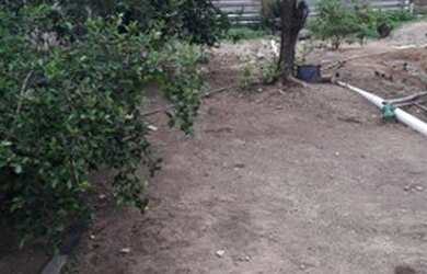 Imagem 2: Vendo ou troco lote grande