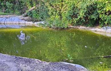 Imagem 4: Terreno de 1000 metros. 1.000m² de Área