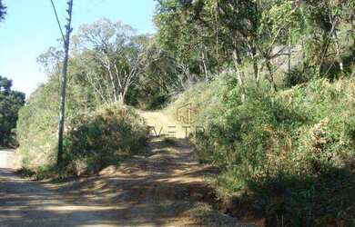 Imagem: O terreno possui 1.400m² de Área e está localizado em Gramado