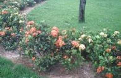 Imagem 3: Terreno Condomínio Village La Montagne