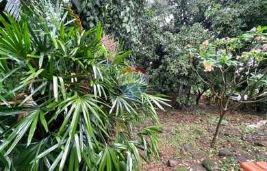 Imagem 3: Terreno à venda, 1000 m² por R$ 450.000,00 - Trevo - Belo Horizonte/MG