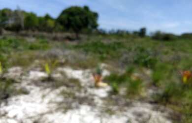 Imagem 5: Lote/Terreno para venda com 187 metros quadrados em RURAL - Entre Rios...