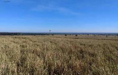 Imagem: A fazenda possui 7260000m² de Área e está localizado em Querência