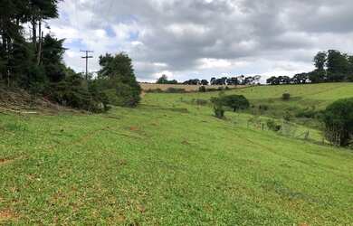 Imagem 2: Sítio 2 alqueires - Itatiba - Bragança Paulista