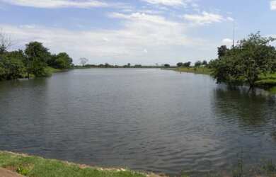 Imagem 6: Fazenda - São Miguel do Araguaia