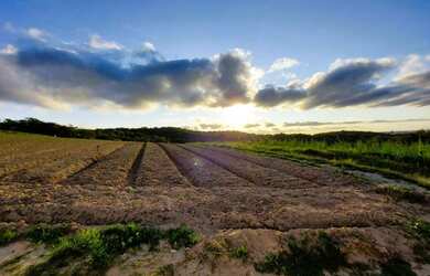 Imagem: O terreno possui 600m² de Área e está localizado em Adalgisa
