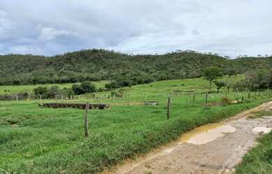 Imagem 2: Fazenda para Venda em Santa Cruz de Goiás, Zona Rural