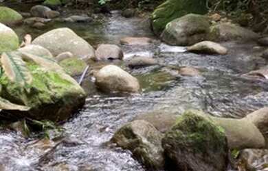 Imagem 4: Mini Sitio em Fazenda Ingaiba