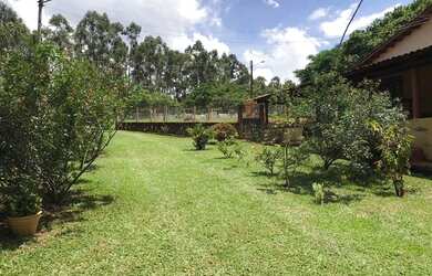 Imagem 15: Chácara 2 alqueires Município de Bela Vista Goias