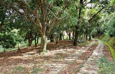 Imagem 10: Fazenda 34ha na rod 262 na região de Boa Vista da Serra, cidade Juatuba/MG