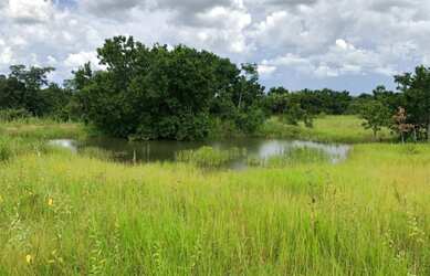 Imagem: A fazenda está localizado em Itapirapuã, GO à venda por R$12.000.000