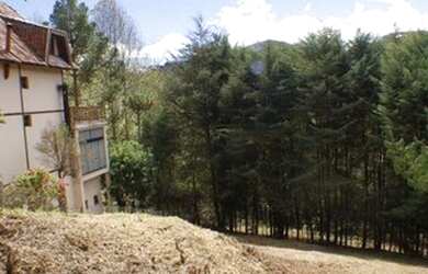 Imagem 10: Terreno à venda, 825 m² por R$ 380.000,00 - Jardim Embaixador - Campos do Jordão/SP