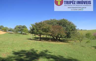 Imagem 13: Fazenda Espetacular em Jaguariúna / SP com 35 alqs FAZ 338