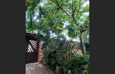 Imagem 15: Excelente casa com ponto comercial de frente para a Marginal em Itanhaém-SP