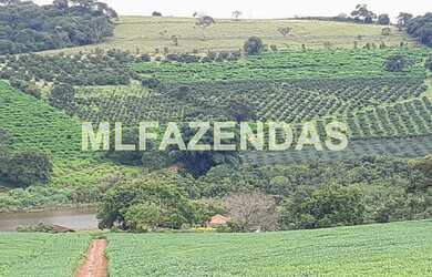 Imagem 9: Fazenda em Turvelândia MG 81,6 alqueires ou 197,47 ha, 80 aproveitável