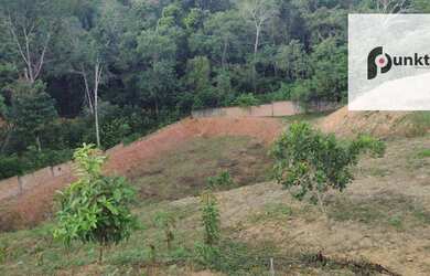 Imagem 5: Terreno localizado Av. das Floresta ,Murado, tamanho 11.600m²